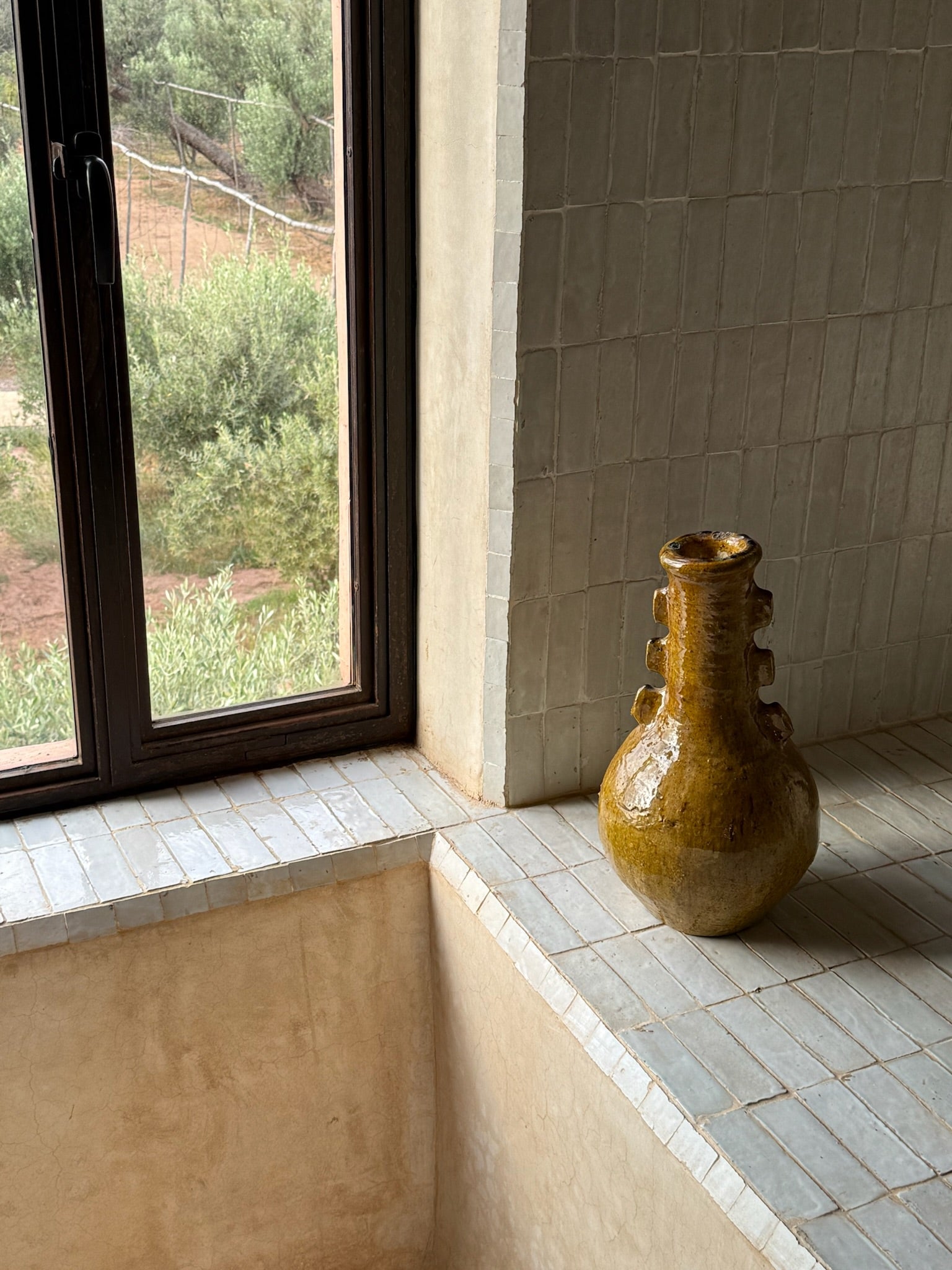 Desert ceramic vase