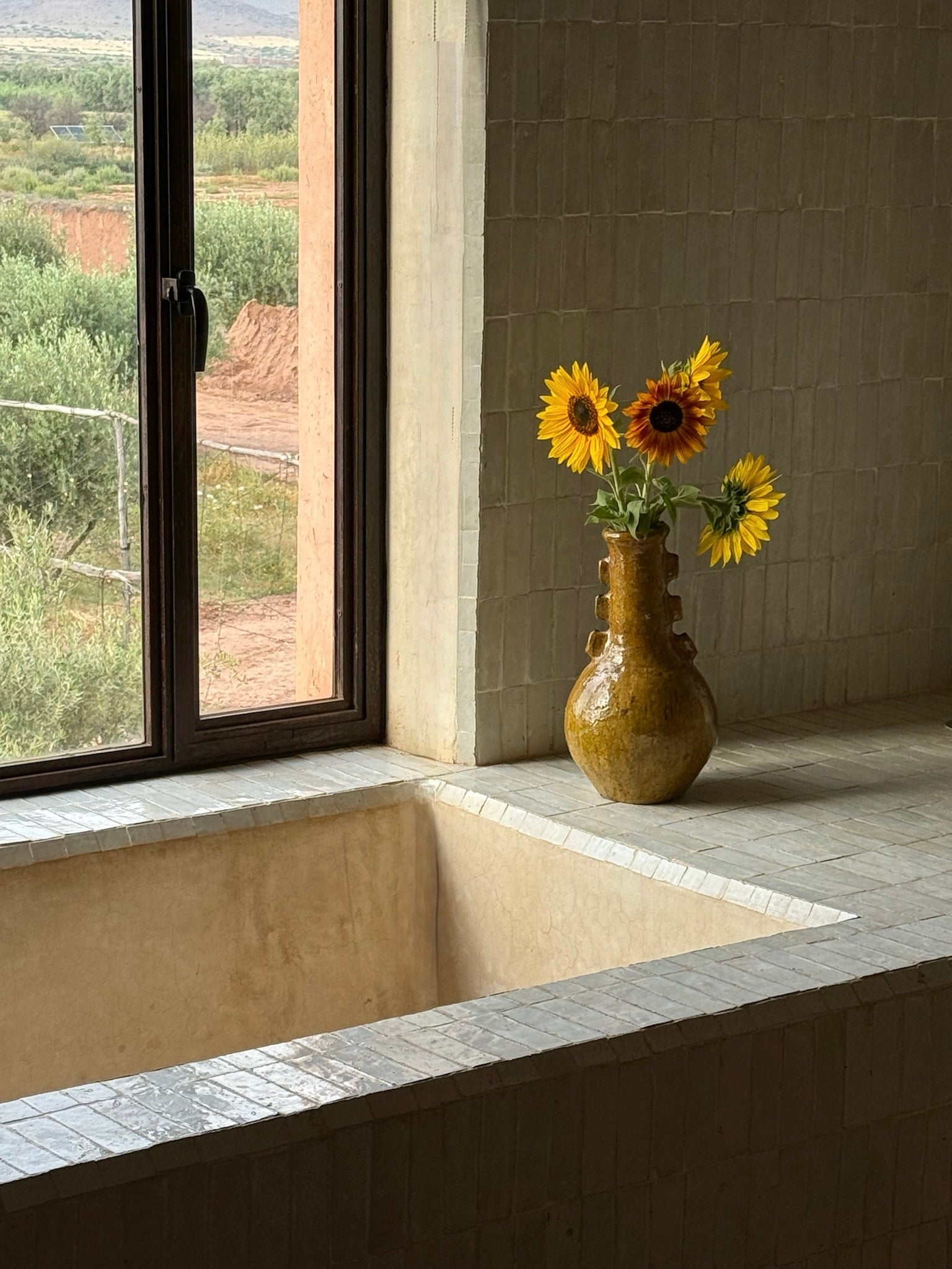 Desert ceramic vase